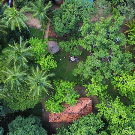 Eco Village Kalundewa Dambulla Eksteriør billede