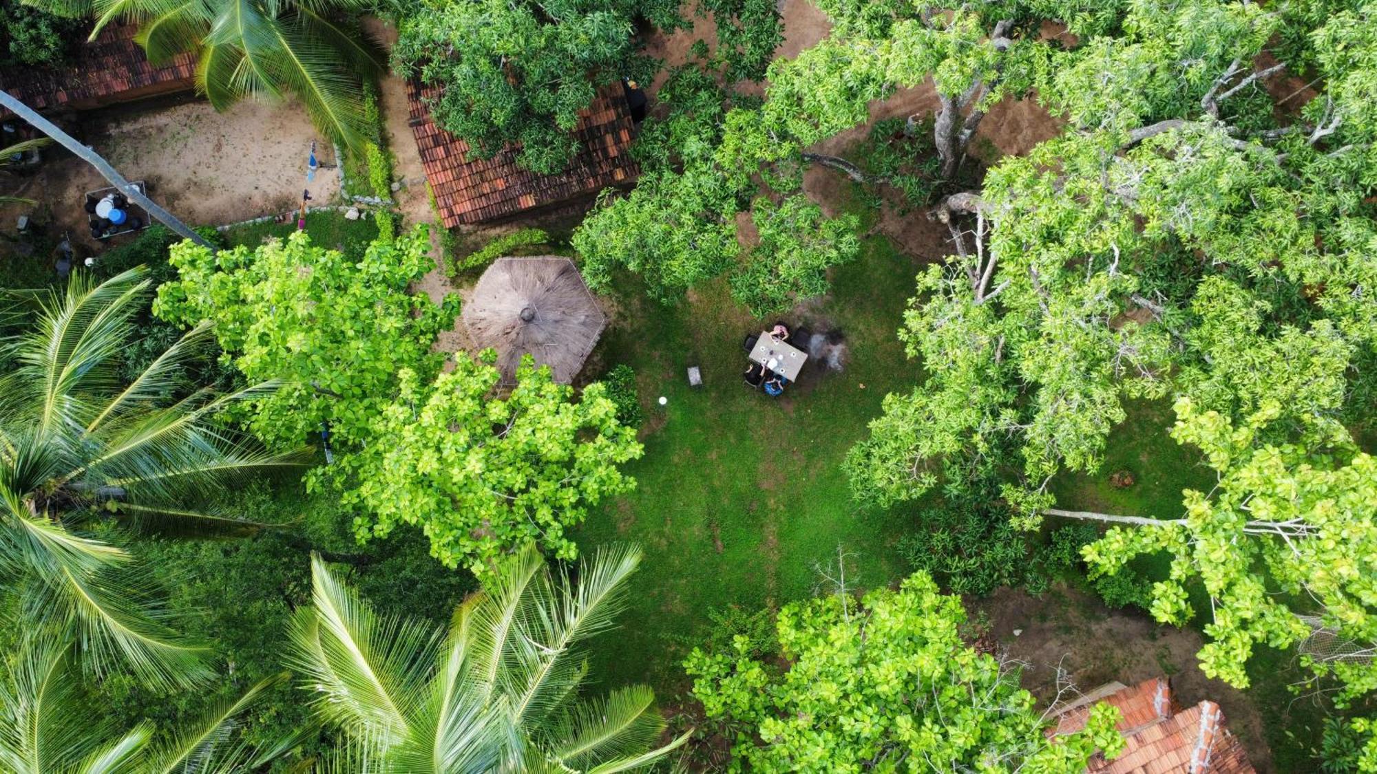 Eco Village Kalundewa Dambulla Eksteriør billede