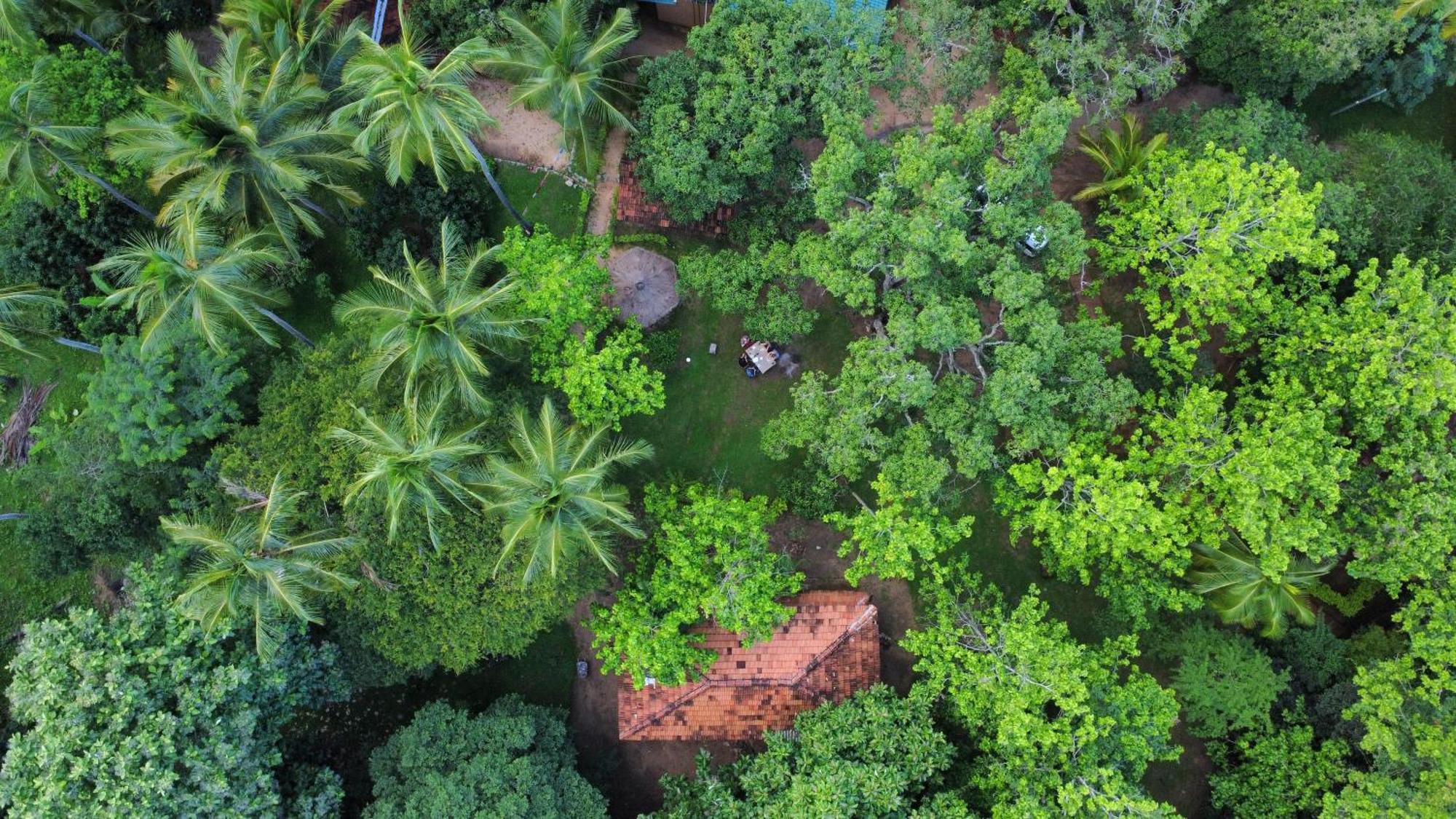 Eco Village Kalundewa Dambulla Eksteriør billede