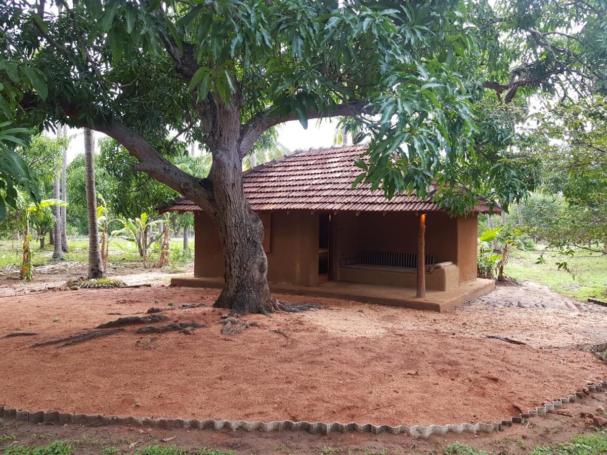 Eco Village Kalundewa Dambulla Eksteriør billede