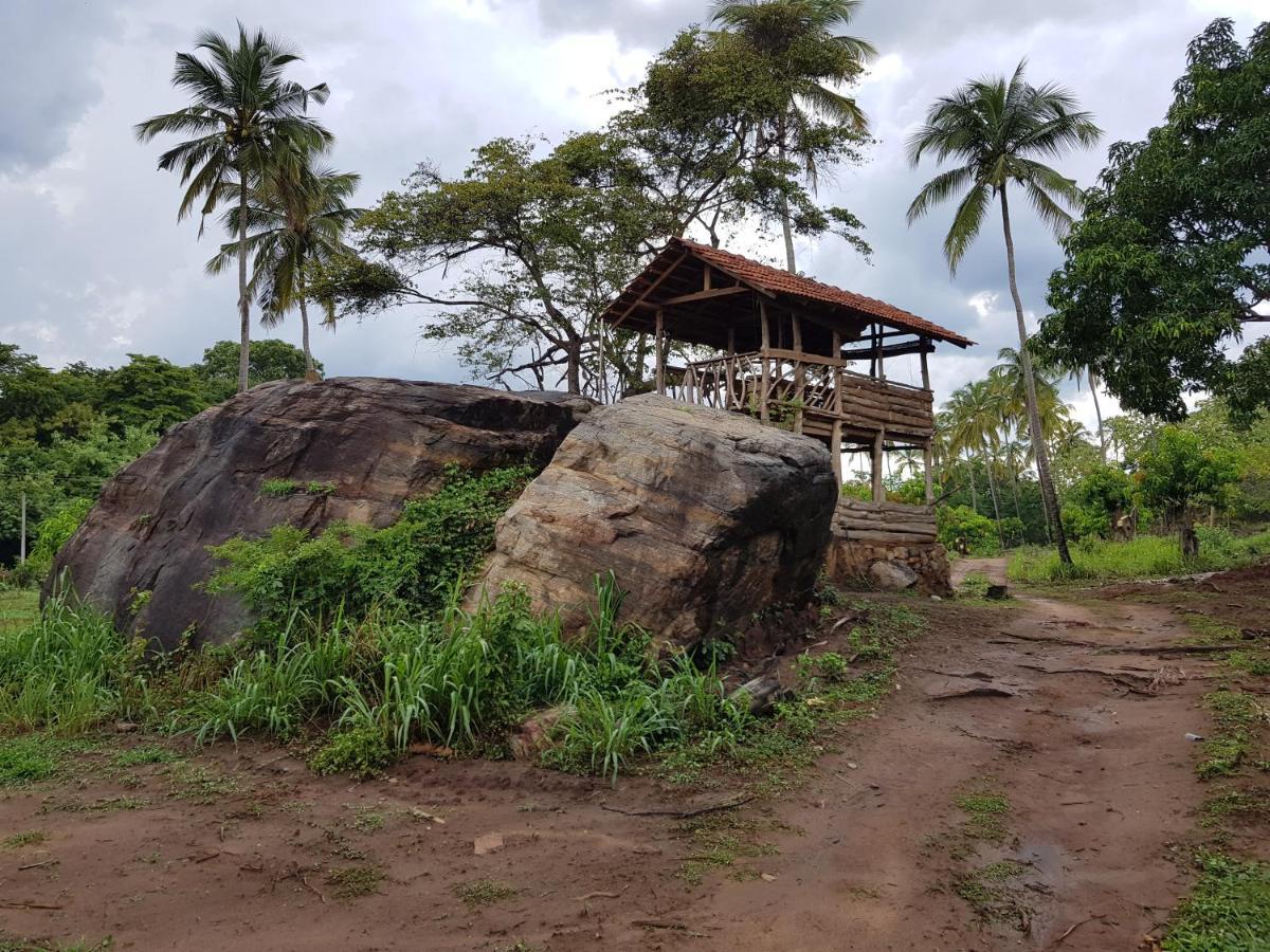 Eco Village Kalundewa Dambulla Eksteriør billede