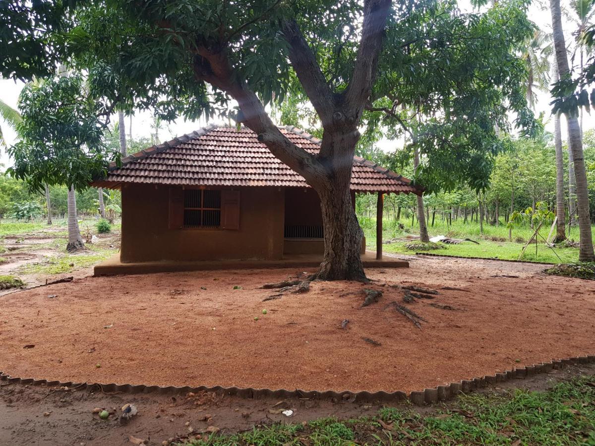Eco Village Kalundewa Dambulla Eksteriør billede