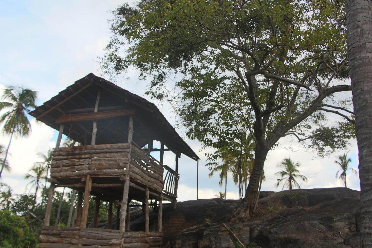 Eco Village Kalundewa Dambulla Eksteriør billede